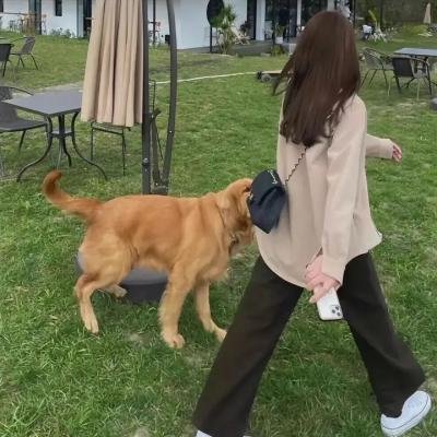 爱憾缠绵